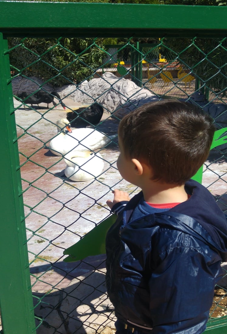 Gaziantep Hayvanat Bahçesi'nde ziyaretçi