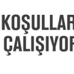 ENERJISA DAGITIM SIRKETLERI TOROSLAR_960x175