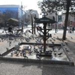 Gaziantep kavruluyor! Şahinbey Belediye Başkanı Tahmazoğlu: Sokak hayvanları için su bırakın