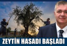 Zeytin hasadı başlarken Gaziantep Ticaret Borsası Başkanı’ndan önemli uyarılar…