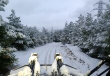 Gaziantep’in Nizip ilçesinde kar yağışı etkili oldu: Belediye ekipleri aralıksız çalışıyor