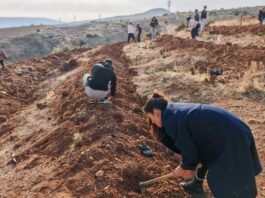 Gaziantep’te üniversite öğrencileri fidanları toprakla buluşturdu