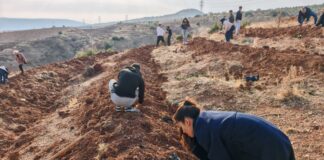 Gaziantep’te üniversite öğrencileri fidanları toprakla buluşturdu