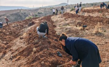 Gaziantep’te üniversite öğrencileri fidanları toprakla buluşturdu
