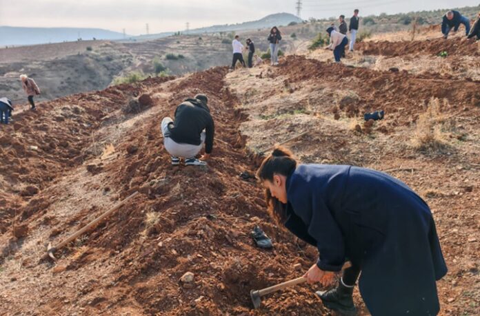 Gaziantep'te üniversite öğrencileri fidanları toprakla buluşturdu