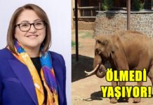 Şahin’den CHP’li Başarır’a sert yanıt: “Gabi öldü diyorsunuz ama yaşıyor, gelin Gaziantep’e görün!”