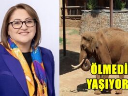 Şahin’den CHP’li Başarır’a sert yanıt: “Gabi öldü diyorsunuz ama yaşıyor, gelin Gaziantep’e görün!”