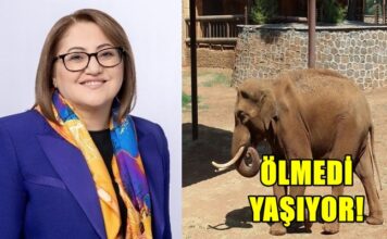 Şahin’den CHP’li Başarır’a sert yanıt: “Gabi öldü diyorsunuz ama yaşıyor, gelin Gaziantep’e görün!”