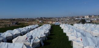 Türkiye, Gazze halkının yanında: Yedi Başak, çadır kampları kuruyor