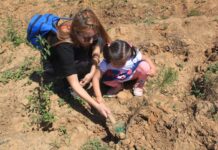 ÇEKÜL Vakfı, 2025 yılında 116 bin 186 fidanı toprakla buluşturdu! Gaziantep bu kampanyayı destekliyor