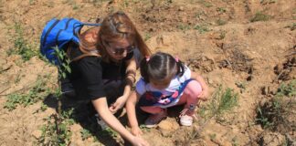 ÇEKÜL Vakfı, 2025 yılında 116 bin 186 fidanı toprakla buluşturdu! Gaziantep bu kampanyayı destekliyor