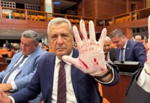 CHP Gaziantep Milletvekili Öztürkmen, Bakan Göktaş’a sordu: “Kadınlar öldürülürken neden susuyorsunuz?”