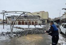 Nizip’te karla mücadele sürerken can dostları unutulmadı