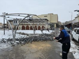 Nizip’te karla mücadele sürerken can dostları unutulmadı