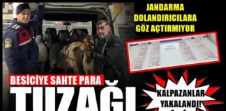 Gaziantep’te sahte parayla küçükbaş hayvan alan 3 dolandırıcı yakalandı