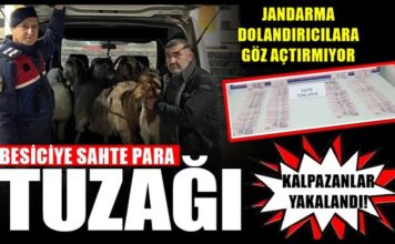 Gaziantep’te sahte parayla küçükbaş hayvan alan 3 dolandırıcı yakalandı
