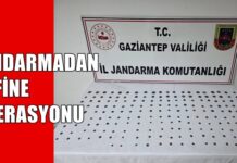 Tam 195 adet! Gaziantep jandarması define ele geçirdi