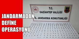 Tam 195 adet! Gaziantep jandarması define ele geçirdi