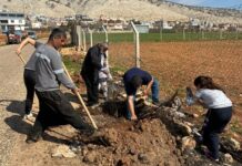 Çepniler Derneği, Gaziantep’te 2 bin fidanı toprakla buluşturdu