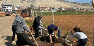 Çepniler Derneği, Gaziantep’te 2 bin fidanı toprakla buluşturdu