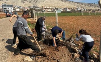 Çepniler Derneği, Gaziantep’te 2 bin fidanı toprakla buluşturdu