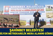Gaziantep Şahinbey’de hayvancılığa dev destek!