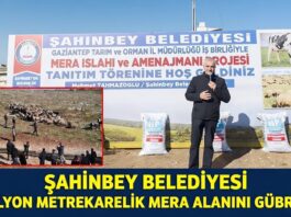 Gaziantep Şahinbey’de hayvancılığa dev destek!