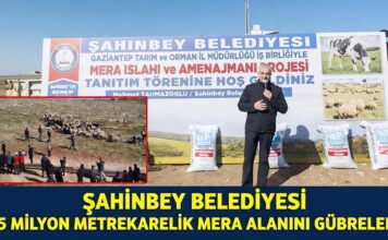 Gaziantep Şahinbey’de hayvancılığa dev destek!