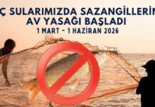 Gaziantep’te sazangillerin avcılığı 1 Haziran’a kadar yasak!