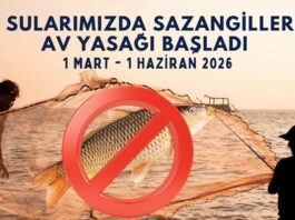 Gaziantep’te sazangillerin avcılığı 1 Haziran’a kadar yasak!