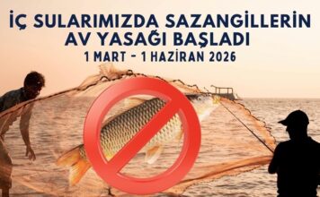 Gaziantep’te sazangillerin avcılığı 1 Haziran’a kadar yasak!