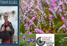 Dr. Temur Bülbül anısına Türkiye’nin çiçekleri Gaziantep’te yarıştı
