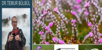 Dr. Temur Bülbül anısına Türkiye’nin çiçekleri Gaziantep’te yarıştı