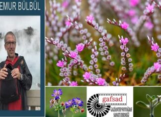 Dr. Temur Bülbül anısına Türkiye’nin çiçekleri Gaziantep’te yarıştı