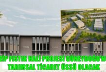 Güneydoğu’nun fıstık ve zeytin ticaret merkezi Gaziantep’te inşa edilecek