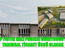 Güneydoğu’nun fıstık ve zeytin ticaret merkezi Gaziantep’te inşa edilecek