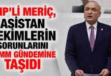 CHP Gaziantep Milletvekili Meriç, asistan hekimlerin sorunlarını TBMM gündemine taşıdı