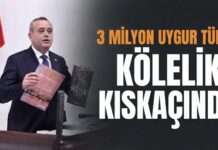 DEVA Partisi Gaziantep Milletvekili Kaya, Çin zulmünü TBMM’de dile getirdi