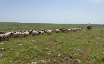 İpek Yolu Kervanı Programı, Gaziantep’te hayata geçirildi