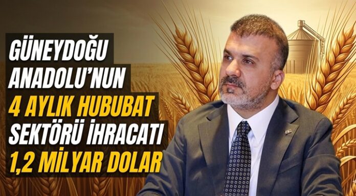 Güneydoğu Anadolu'nun hububat ihracatındaki artış sevindirdi