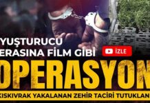 Film gibi operasyon! Gaziantep’te iş yerinde özel uyuşturucu serası çıktı