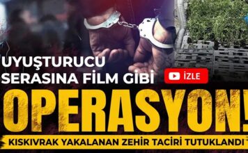 Film gibi operasyon! Gaziantep’te iş yerinde özel uyuşturucu serası çıktı