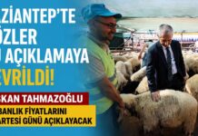 Tahmazoğlu’ndan Gazianteplilere müjde! Kurban fiyatları merakla bekleniyor