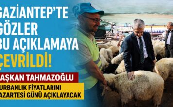Tahmazoğlu’ndan Gazianteplilere müjde! Kurban fiyatları merakla bekleniyor