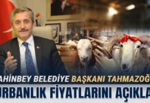 Tahmazoğlu açıkladı: Gaziantep’te kurbanlık fiyatları belli oldu