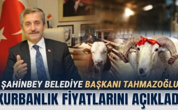 Tahmazoğlu açıkladı: Gaziantep’te kurbanlık fiyatları belli oldu
