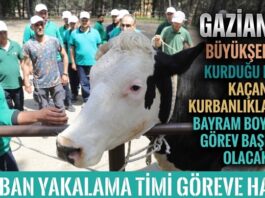 Gaziantep’te kurbanlıklar için drone destekli özel tim göreve hazır