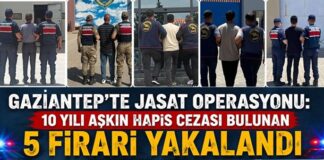 Jandarma suçluların ensesinde! Gaziantep’te 5 firari hükümlü yakalandı