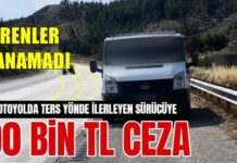 Tarsus-Adana-Gaziantep (TAG) Otoyolu’nda şoke eden olay! Jandarma hemen durdurdu