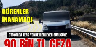 Tarsus-Adana-Gaziantep (TAG) Otoyolu’nda şoke eden olay! Jandarma hemen durdurdu
